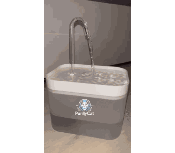 Fontaine à eau filtrante pour chat StremPure
